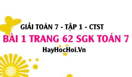 Giải bài 1 trang 62 Toán 7 Tập 1 SGK Chân trời sáng tạo